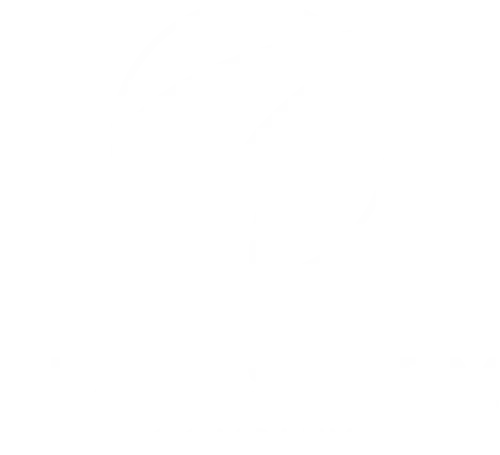 BLACKSTORM logo